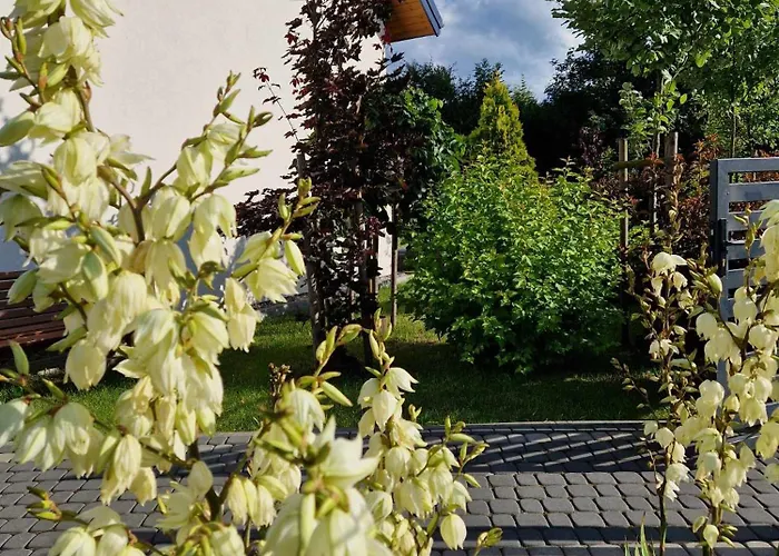 Komfortowe Domki W Pucku - Zacisze * Puck